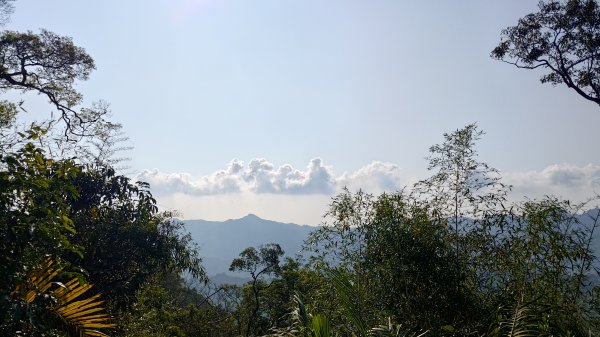 西阿里關山3033632