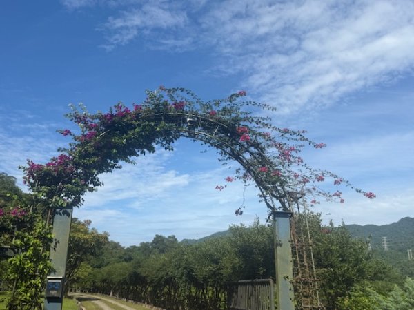 20250601 柑柑柑腳山2801032