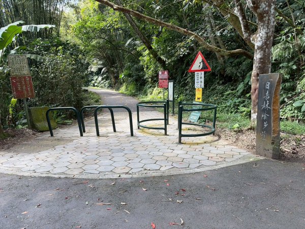 桃園 大溪 頭寮山3004508