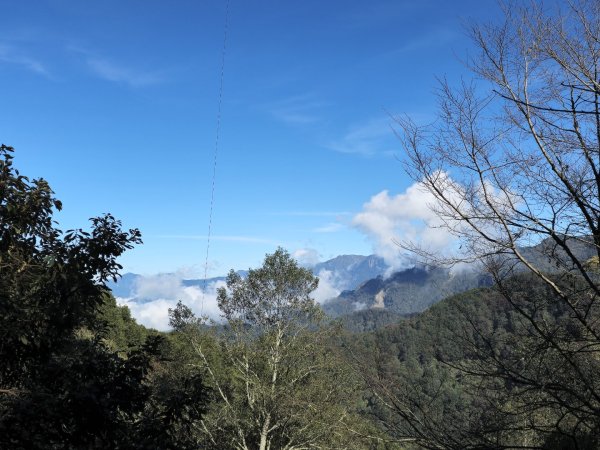 東埔山／鹿林山／鹿林神木2666725