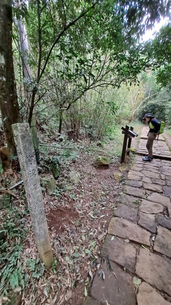 台北大縱走第一段1249189