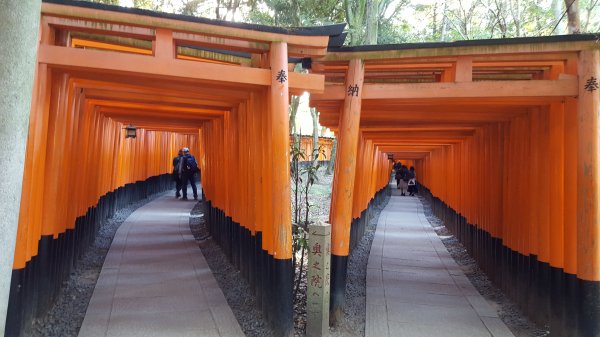 【日本】京都。稻荷山1432277