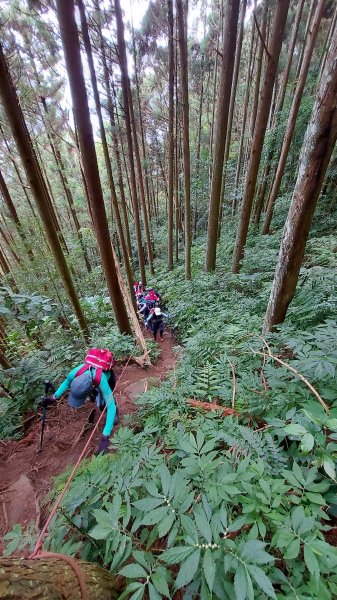 110/11/28苗栗縣南庄鄉三角湖山、向天湖山、光天高山O型1537850