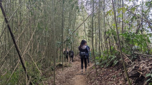 馬那邦山步道(珠湖登山口上)1585897
