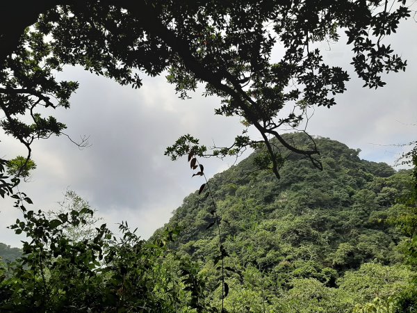 觀音山尋寶 牛寮埔+北橫古道1047760