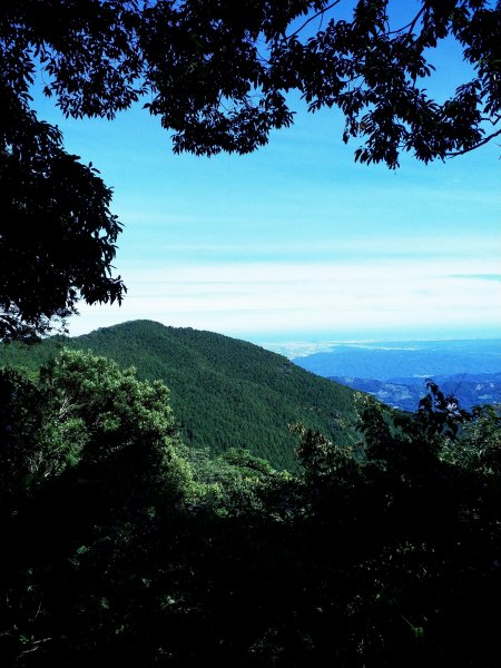 高台島田步道1038712