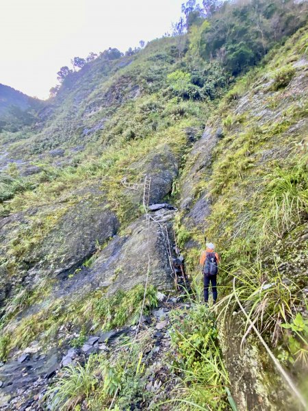 小鬼湖林道登亞泥笛山    2022/2/251622547