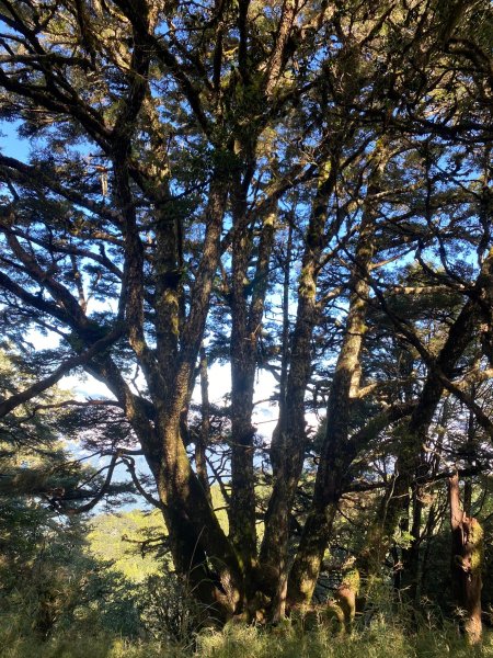 20241006給里洛山-加太縱走2616193