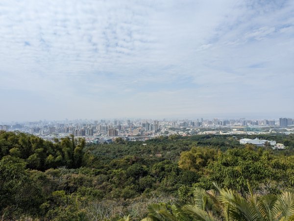 2023-02-04 大坑9、10號步道2792377