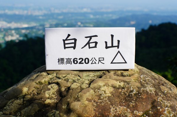 桃園 大溪 白石山、石厝坑山、石龜坑山3113871