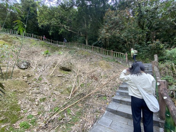 台北大縱走2026｜一天解鎖7顆寶石💎還嚕到4隻貓！第七段｜指南宮千階梯→貓空→樟湖步道→樟山寺3021798