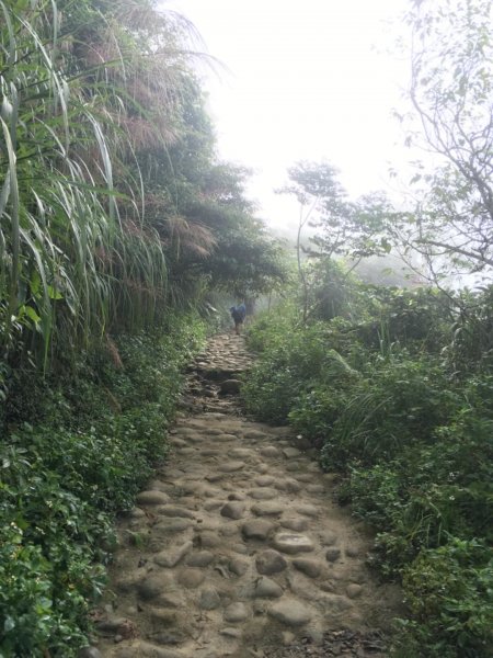 20181026-大凍山初登444950