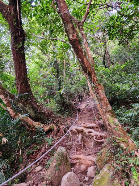 小百岳集起來-都蘭山2184297