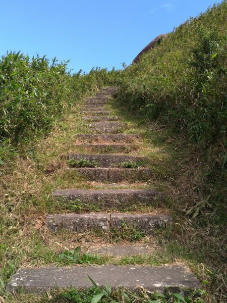 青山藍海水牛群，桃源谷＋小百岳灣坑頭山714408