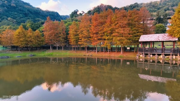 #花卉試驗中心 #永公路500巷 #平菁街42巷 #原住民公園 #士林官邸 1/42979255