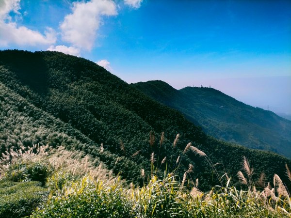 雲嘉連峰2365718