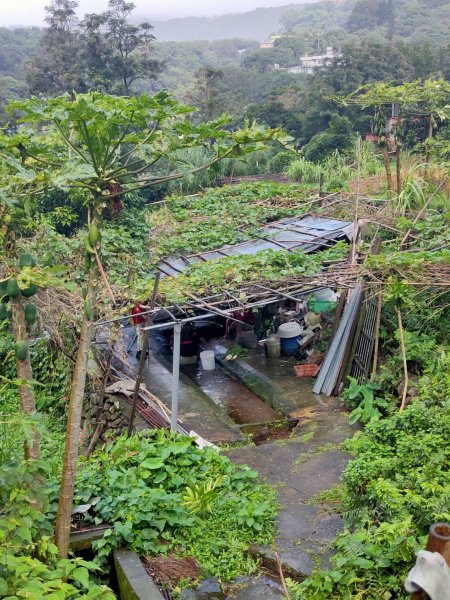 橫嶺古道 湖山國小步道1194187