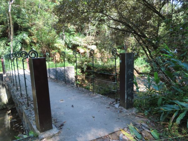 澀水森林步道(+水上瀑布)2915728