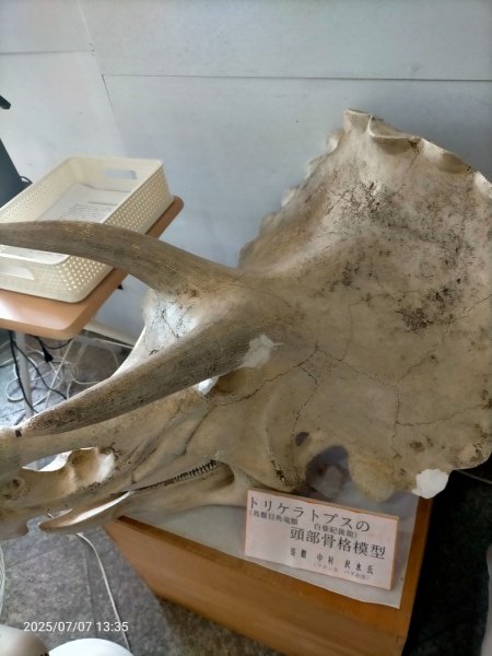 鳥羽真珠島2829345