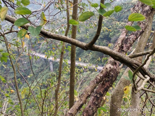 獨立山國家步道895018