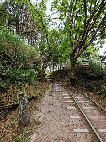 翠峰湖環山步道-(宜蘭)臺灣百大必訪步道2827567