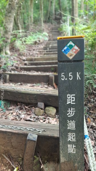 《台中》優美稜線｜橫嶺山自然步道（大雪山社區南登山口）202505312800183