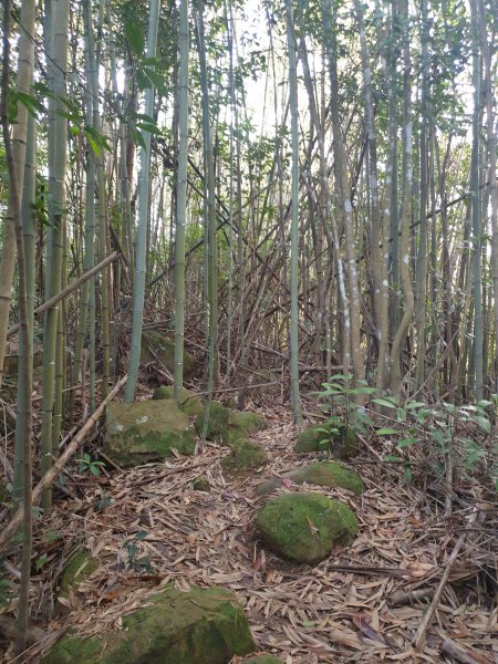 飛沙17連峰2701053