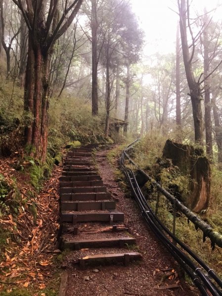 小百岳集起來-大塔山2185749