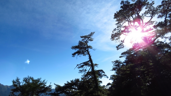 超越自我奇萊南華行24205