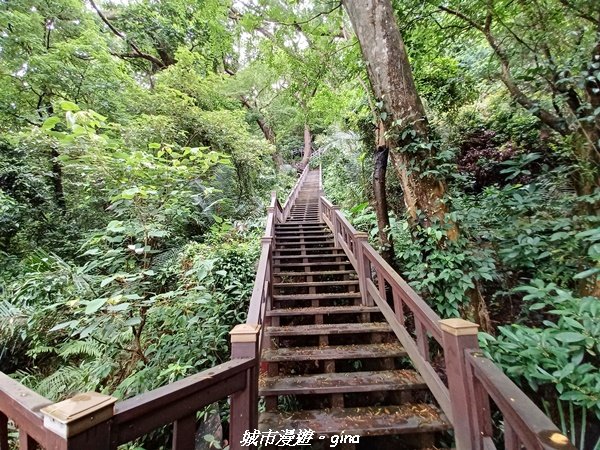 【台中后里】蓊鬱林間。 后里泰安登山步道1728730