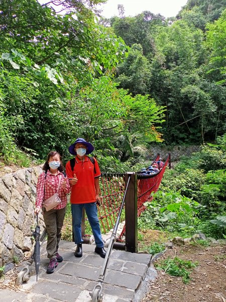 天母→猴洞→湖山→半嶺→第二展望台→龍鳳谷→民族公園→花博公園1445746