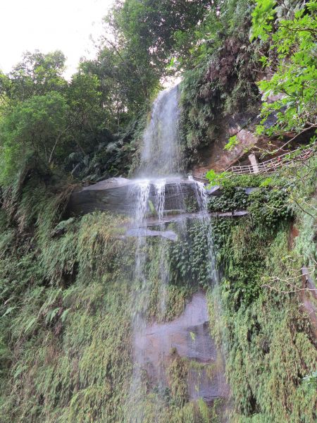 1060625銀河洞越嶺→政大後山139336