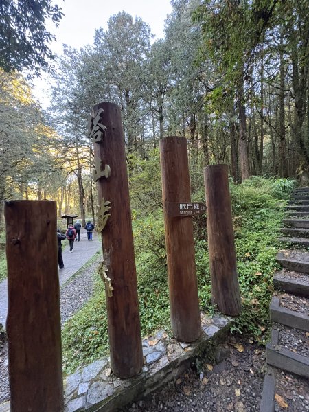 20251225塔山步道(大塔山)2970266