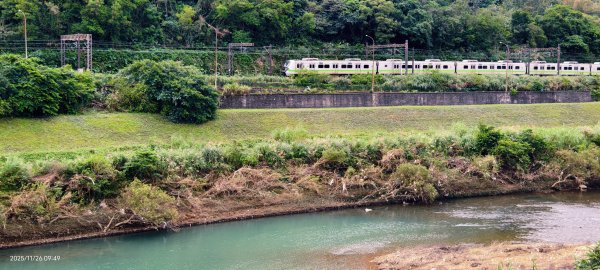 #半屏山 #芒花 11/262946019