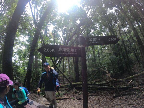 2018/8/11 加里山之旅390398