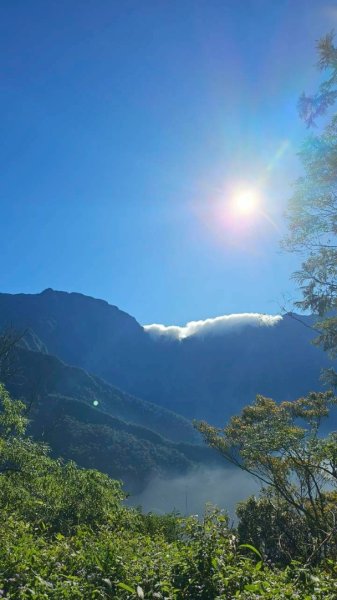 20251106北大武山步道☁️ 喜多麗雲海2931384