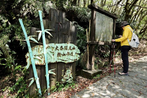 大崙頭尾山｜小百岳2756504