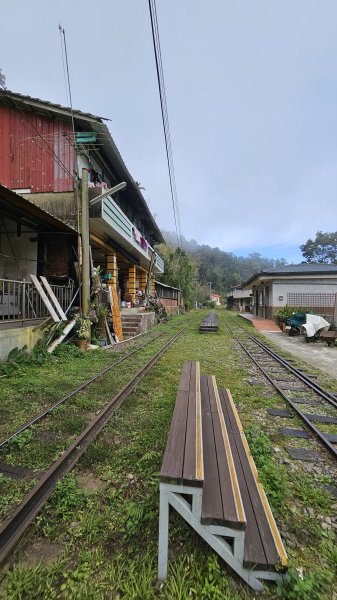 【四大天王山O型縱走未竟之旅：封山中的靜謐與省思】解鎖嘉義竹崎四大天王山、知鳥山。2929924