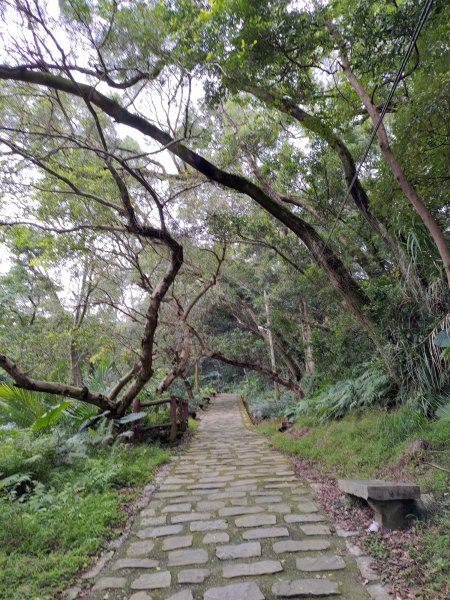 大溪御成路古道828713