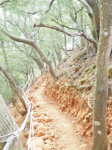 《苗栗》心靈之旅｜火炎山步道O繞南鞍古道201804212890657