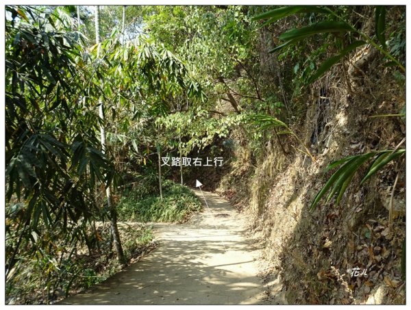 東南坑山(台中-太平)1279617