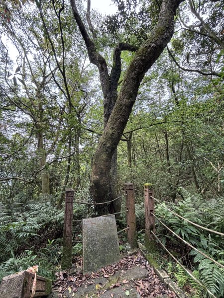 小百岳 - 獅仔頭山3034919