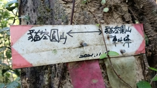 文山區草湳大榕樹-貓空圓山東北峰-貓空圓山-次格中繼站-貓空尖-二格山步道-草湳大榕樹3130199