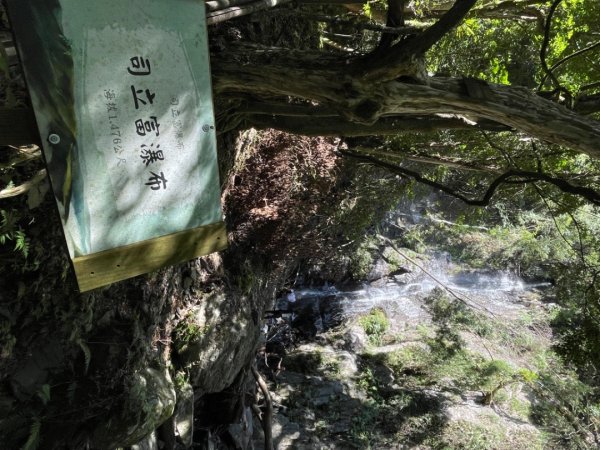 1140825司馬庫斯新巨木園區-司立富瀑布-部落觀景台2871221