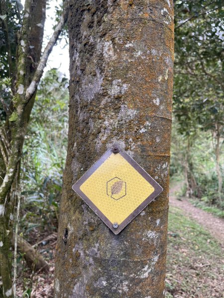 2026/02/28關刀山3008096