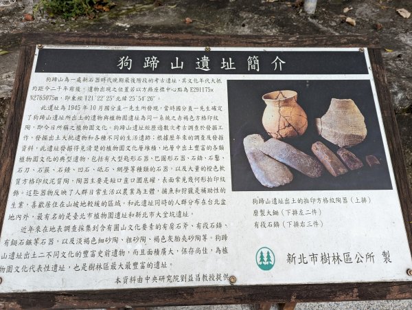 2022.03.05－大棟山縱走1636846