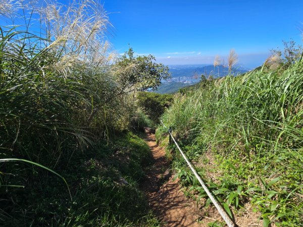 大屯主峰-連峰步道環形（小百岳）2904362