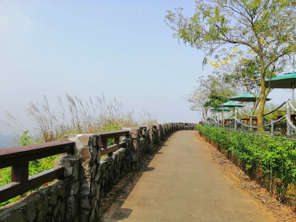 八卦山山脈最高峰。編號48小百岳 橫山754285