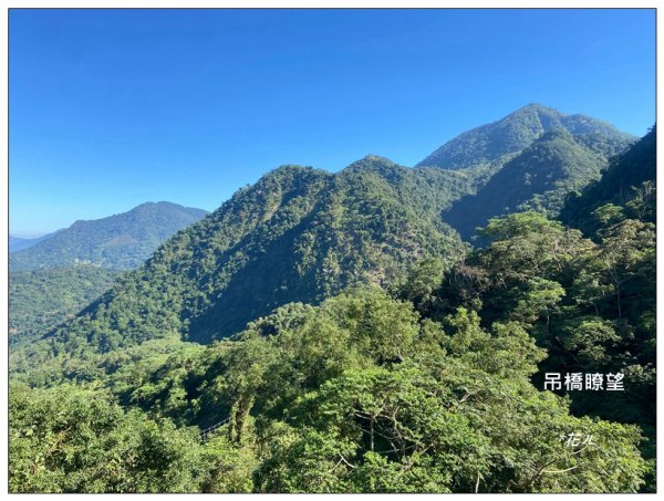 鳳凰谷鳥園步道2695880