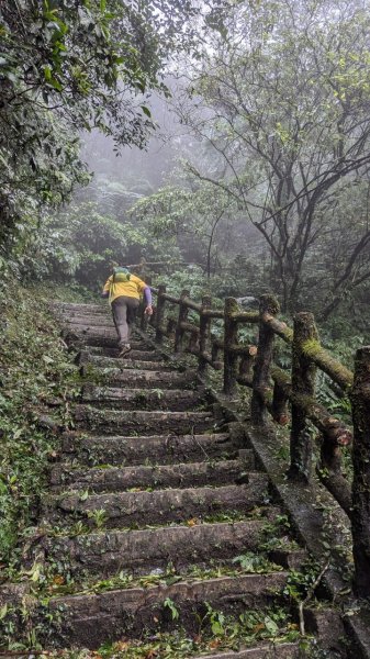 113.11.02颱風過後的二格山之行2641535